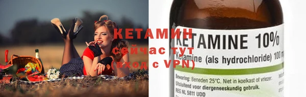 apvp Алексин