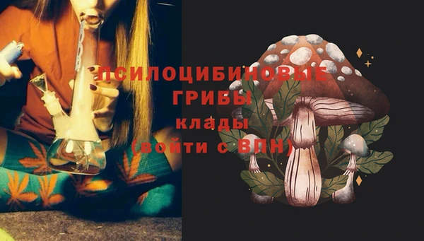 каннабис Алзамай