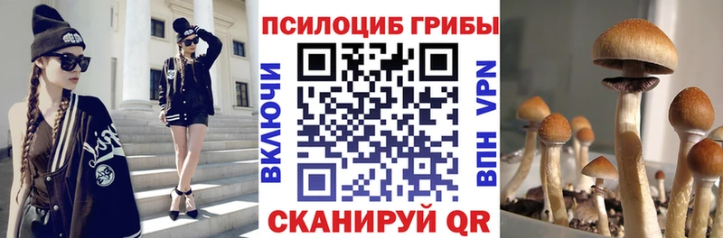 Галлюциногенные грибы мухоморы Медынь